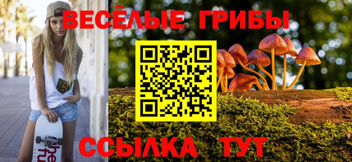 Назарово  Галлюциногенные грибы Magic Shrooms  Вход с VPN  Псилоцибиновые грибы мицелий 